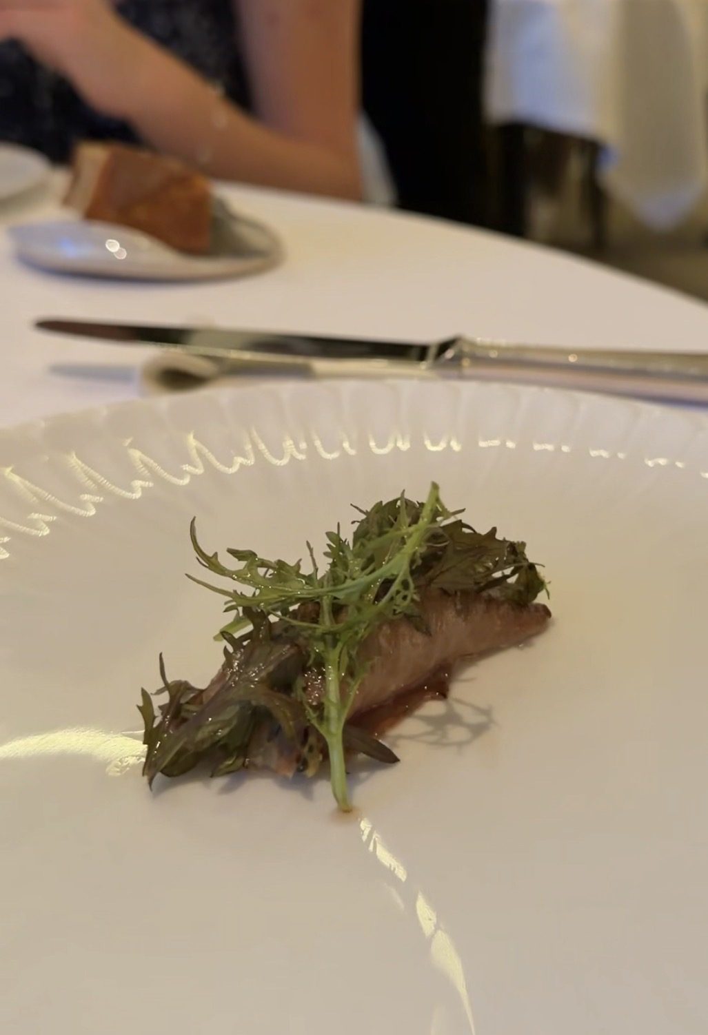 A small piece of meat with frisée on a white plate at Restaurant Alliance